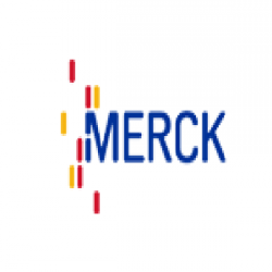 Lichrosorb 色谱柱